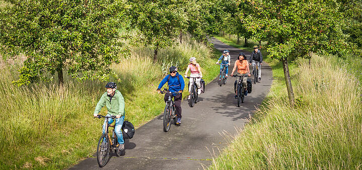 Fahrradfahrende Menschen in Natur